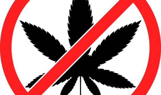 Fahrerlaubnisentziehung bei einmaligem Cannabiskonsum
