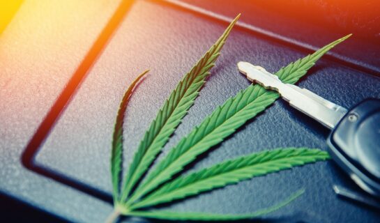 Entziehung der Fahrerlaubnis – Cannabiskonsum