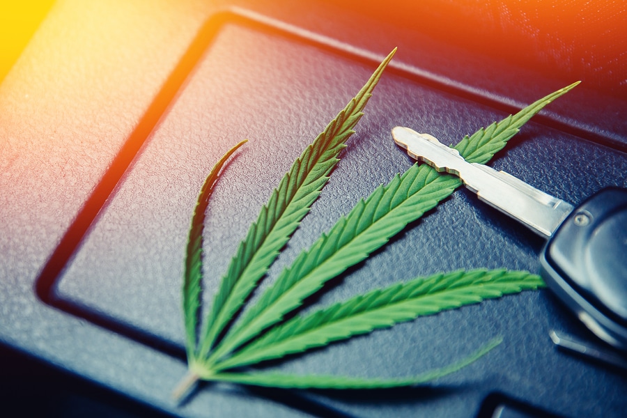 Entziehung der Fahrerlaubnis - Cannabiskonsum