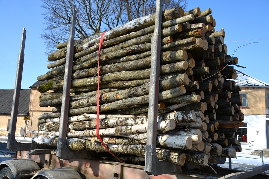 Bußgeldverfahren – Überladung bei Holztransport - Verfallsanordnung