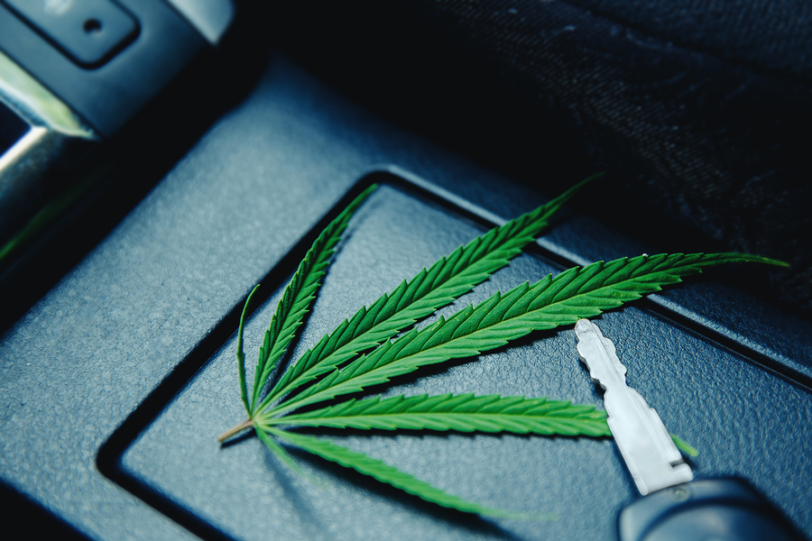 Fahrerlaubnisentziehung bei gelegentlichem Cannabiskonsum nach erstmalig geahndeter Fahrt