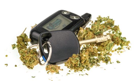 Fahrerlaubnisentziehung – gelegentlicher Cannabiskonsum ab 100 ng/ml THC-COOH