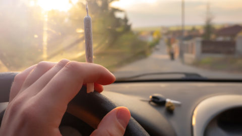 Cannabisfahrt - ärztlich verordnetes Cannabis