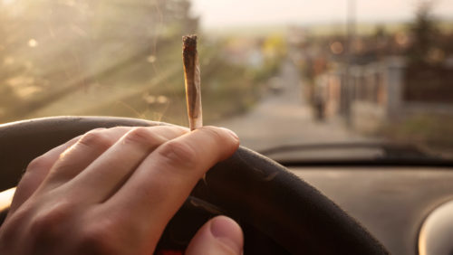 Fahrerlaubnisentziehung - gelegentlicher Konsum von Cannabisprodukten