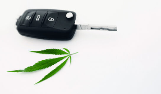 Entziehung der Fahrerlaubnis wegen einmaligen Konsums von Cannabis