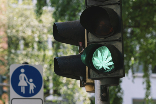 Wirkungsdauer von THC – Fahrt unter Cannabiseinfluss