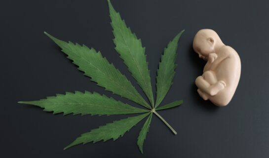 Fahrerlaubnisentziehung – Regelvermutung Cannabiskonsum bei Schwangerschaft