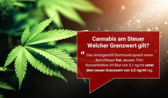 Freispruch bei Cannabis am Steuer: Neuer Grenzwert von 3,5 ng/ml THC